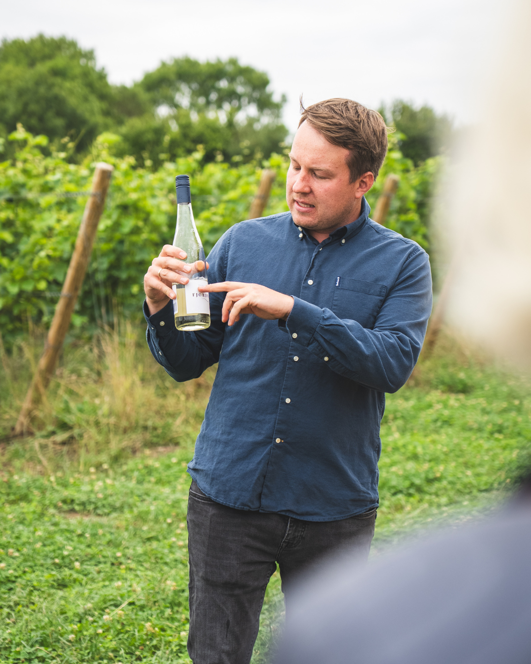 Gutschein Fjordwein-Führung