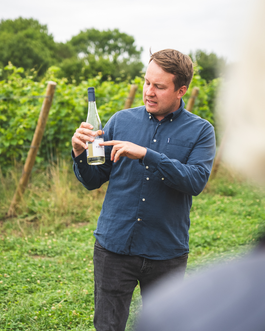Gutschein Fjordwein-Führung