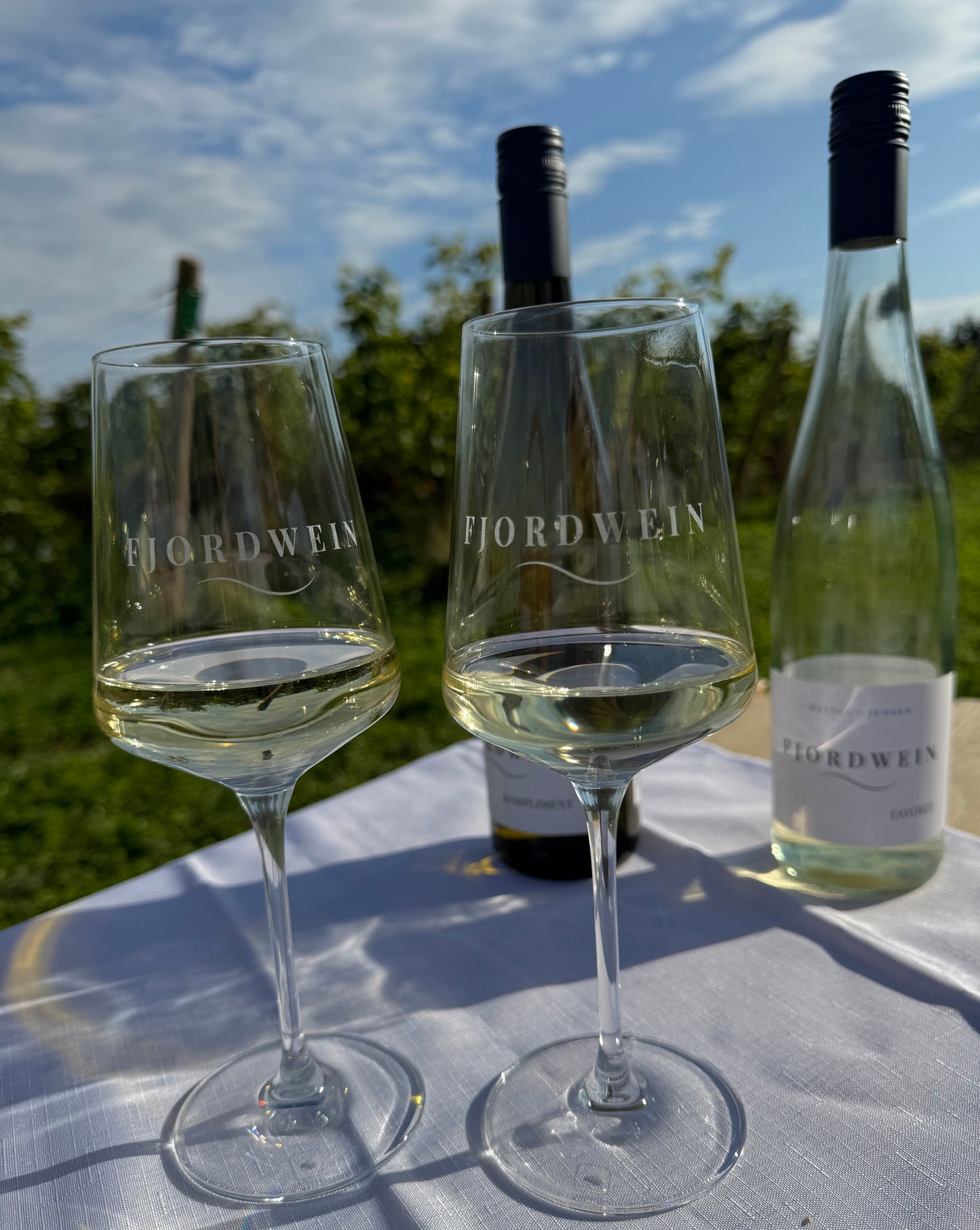 Fjordwein-Picknick